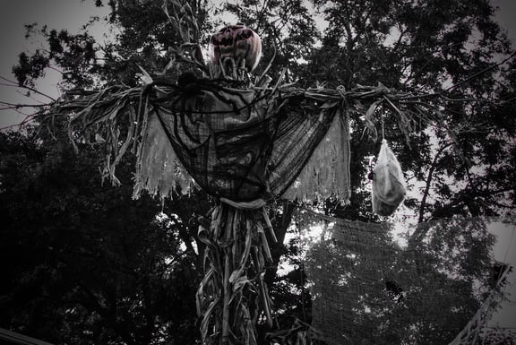 Haunted Trail