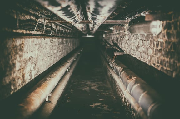 Der Keller des Dr. Mills [Engineer Mills’ cellar]
