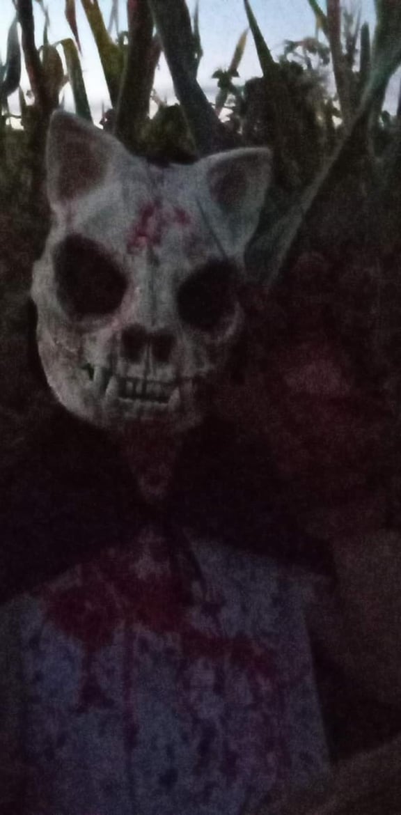 Haunted Corn Maze