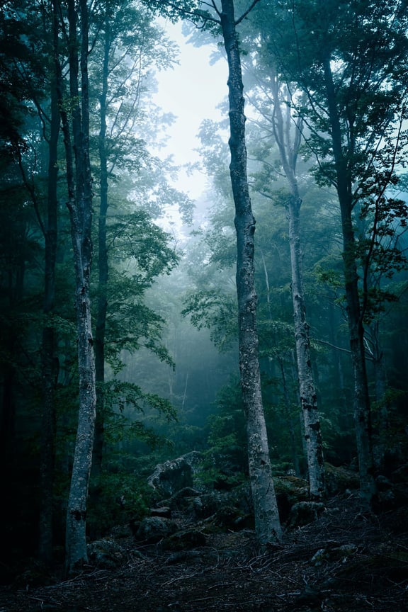 Devil's Hollow