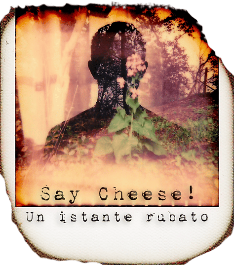 Say Cheese!