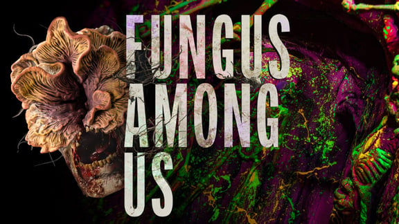 Fungus Among Us