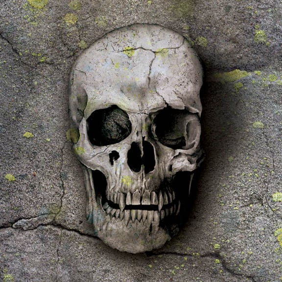 Krypta [Crypt / The Vault]