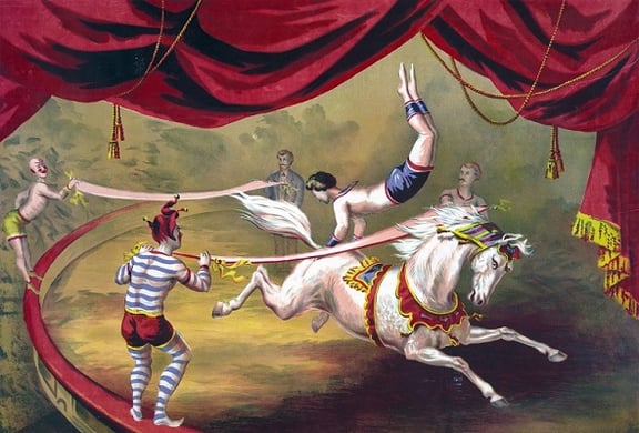 Circus Of The Stranded