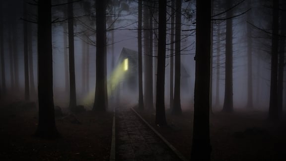 Trail Of Terror