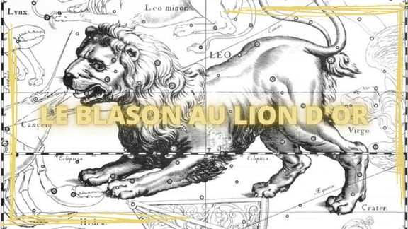 Le Blason au Lion D’or [Outdoor]