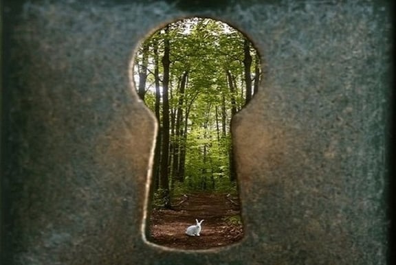 Escape Wonderland