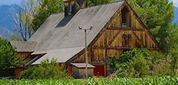Chicken Run