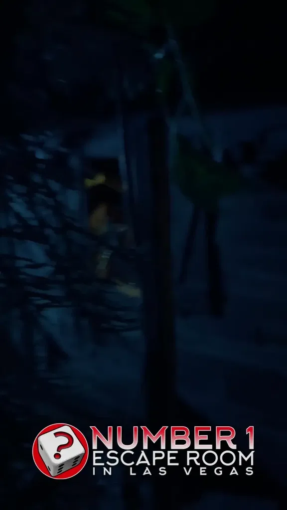 The Cabin