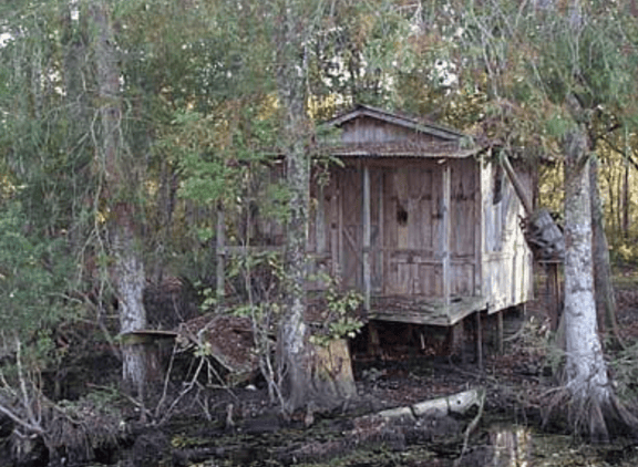 Swamp Monster