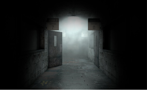 Asylum