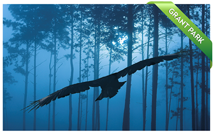 What Happened In Raven Woods?