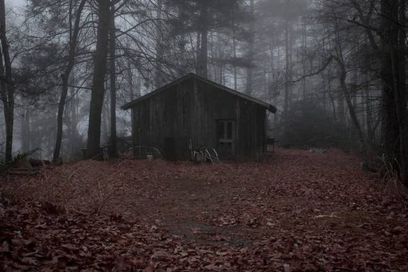 The Cabin