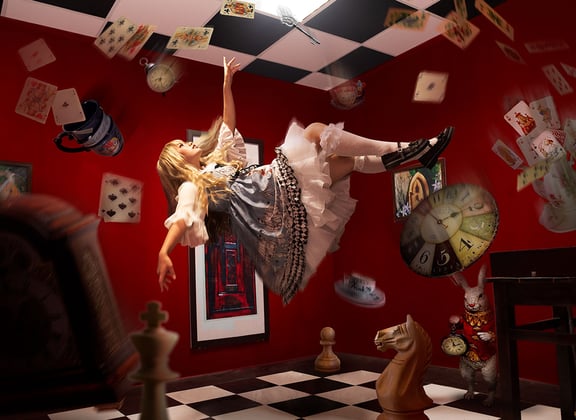 The Robbery in Wonderland