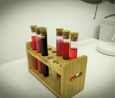 The Laboratory