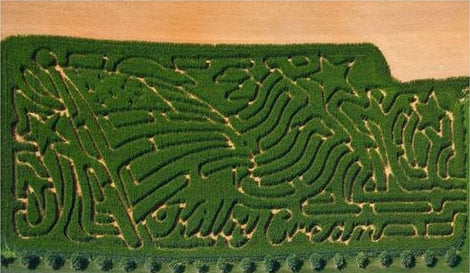 Britt's Farm Scary Maze