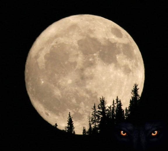 Cursed Moon Rising
