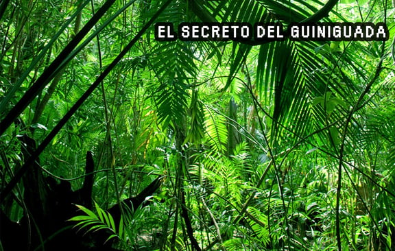 Secreto De Guiniguada [Guiniguada Secret]