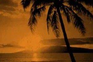 Lost in Paradise