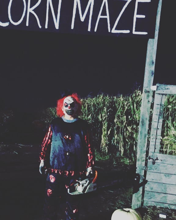 Rowe Crop Farm Haunted Corn Maze