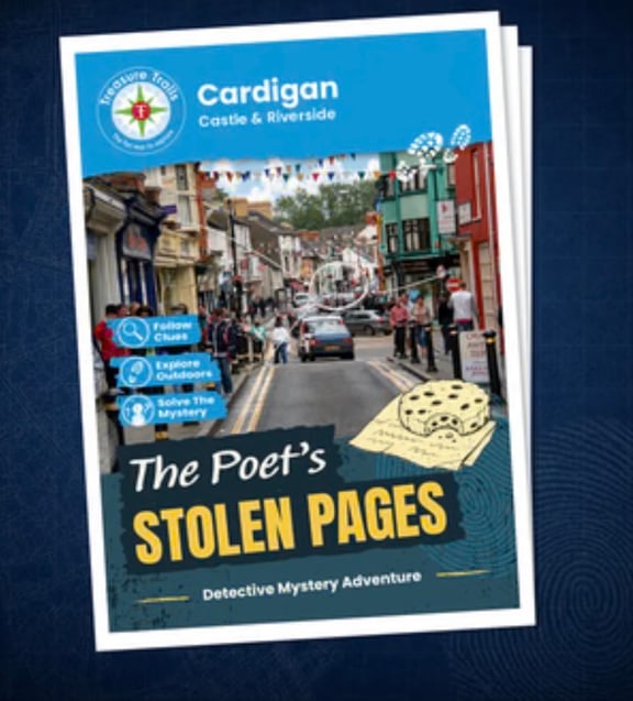 Cardigan - Castle & Riverside [Outdoor]