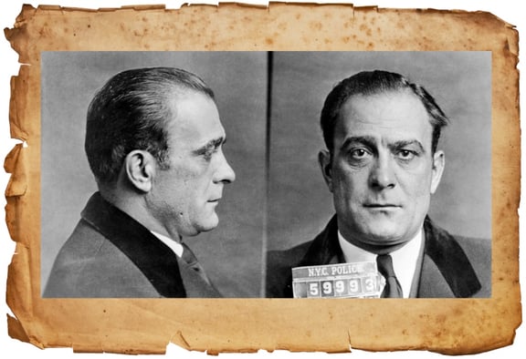 The Don Vito Investigation