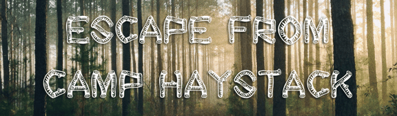 Escape From Camp Haystack