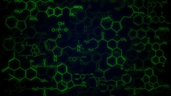 X Lab