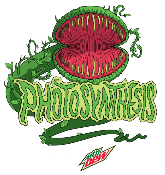 Photosynthesis