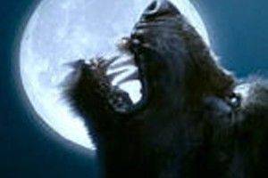 The Howling