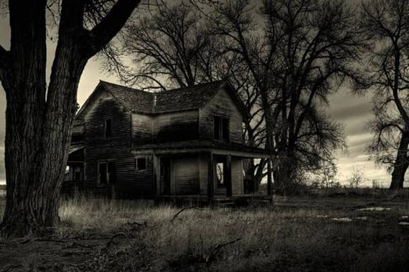 The House in the Woods