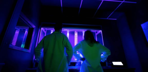 Dr. K’s Lethal Injection
