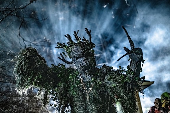 Spirits of the Swamp