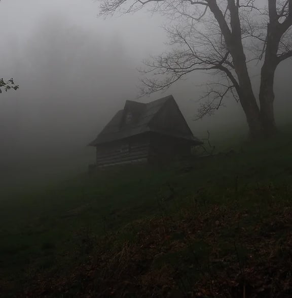 The House In The Woods
