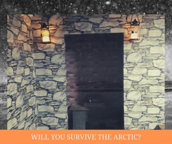 Arctic Survival Escape