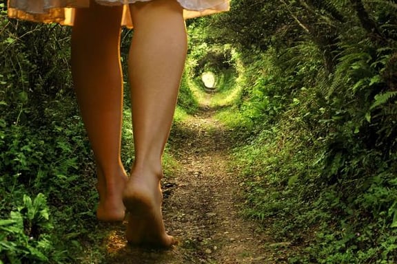 Rabbit Hole