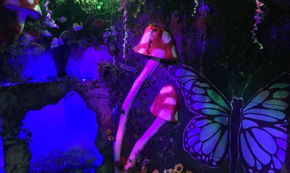 Enchanted The Dark Forest