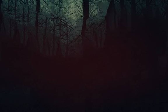 The Upside Down