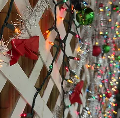 Christmas Chaos