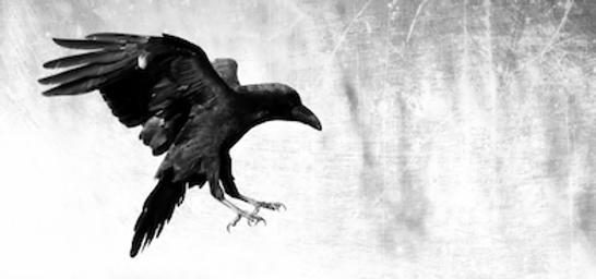 Ravenscroft Haunted House