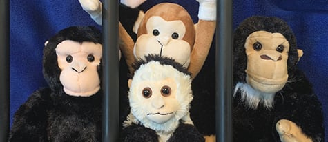 Monkey Slime