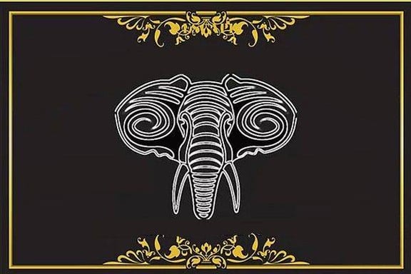 The Albino Elephant
