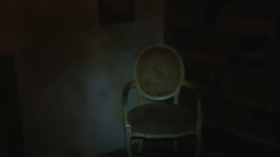 The Study