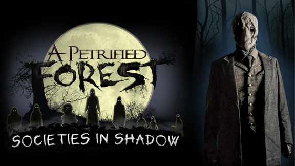 Societies in Shadow