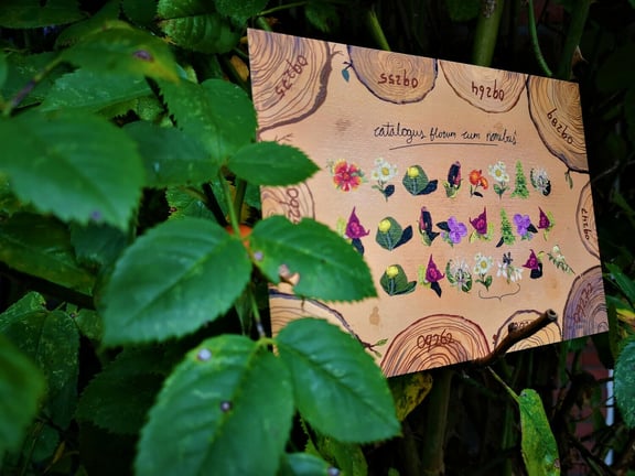 Nature Card