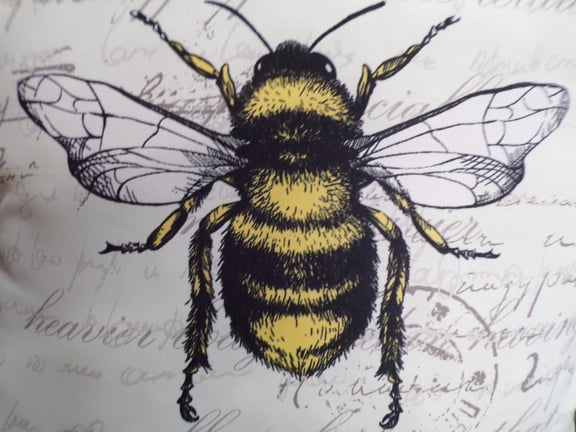 Save the Queen Bee