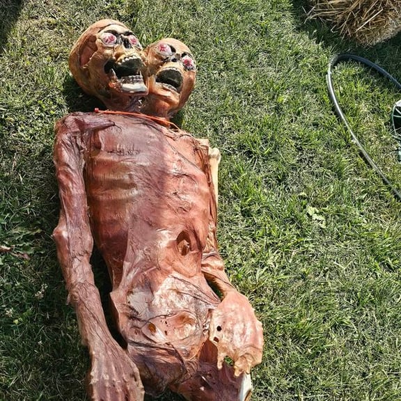 Fright Forest At The Fairgrounds: Unliving Legends
