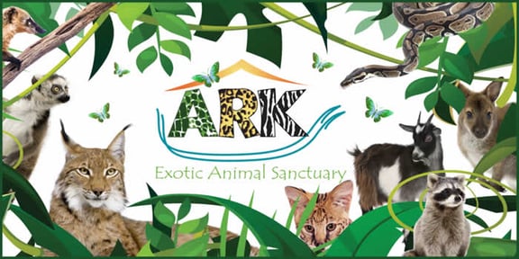 Defeat The Poachers