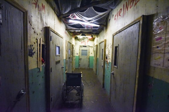 Asylum