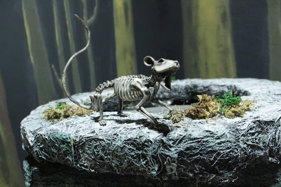 Da Sala
